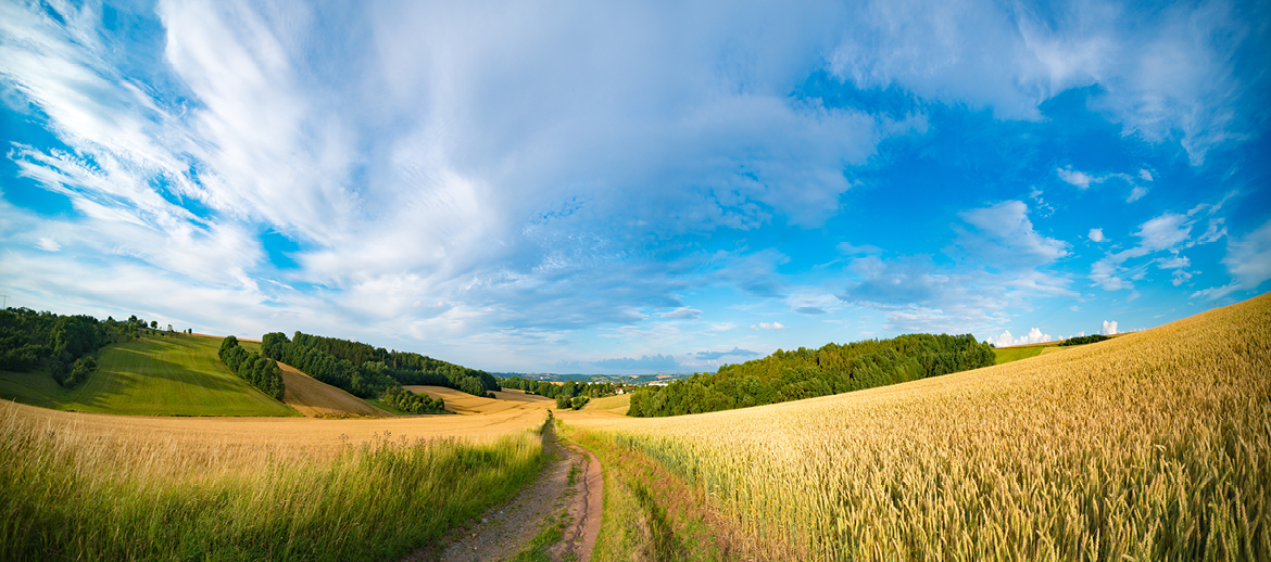 ‘Farming is not a level playing field’