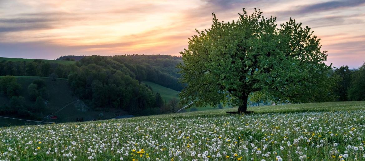 Uncertainty around tax treatment in relation to Biodiversity Net Gain